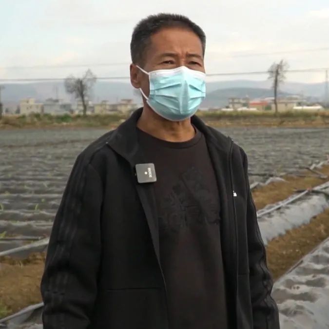 大理电视台