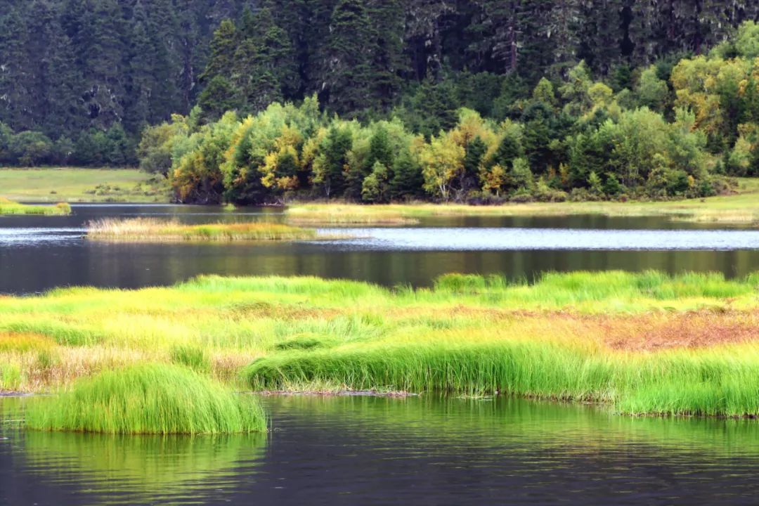 昆明信息港/cnkmxxg