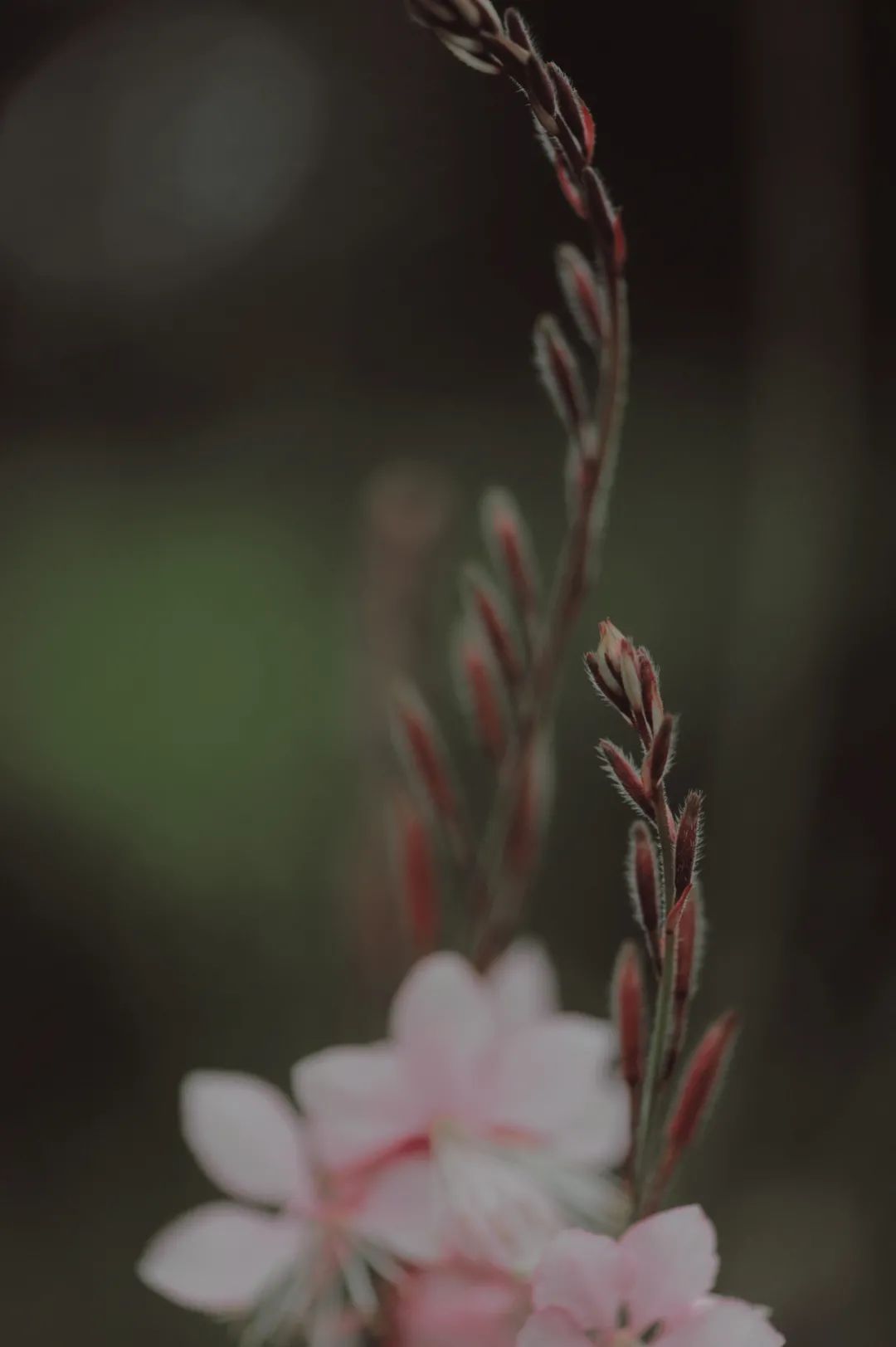 昆明市金殿名胜区