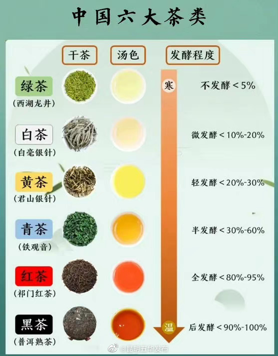 喝茶真的能刮油吗？来看看科学的解释