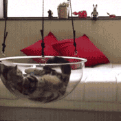 睡觉时身体突然抖一下可能是太累了