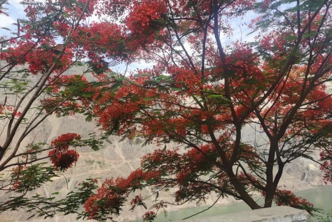 东川发布(微信)