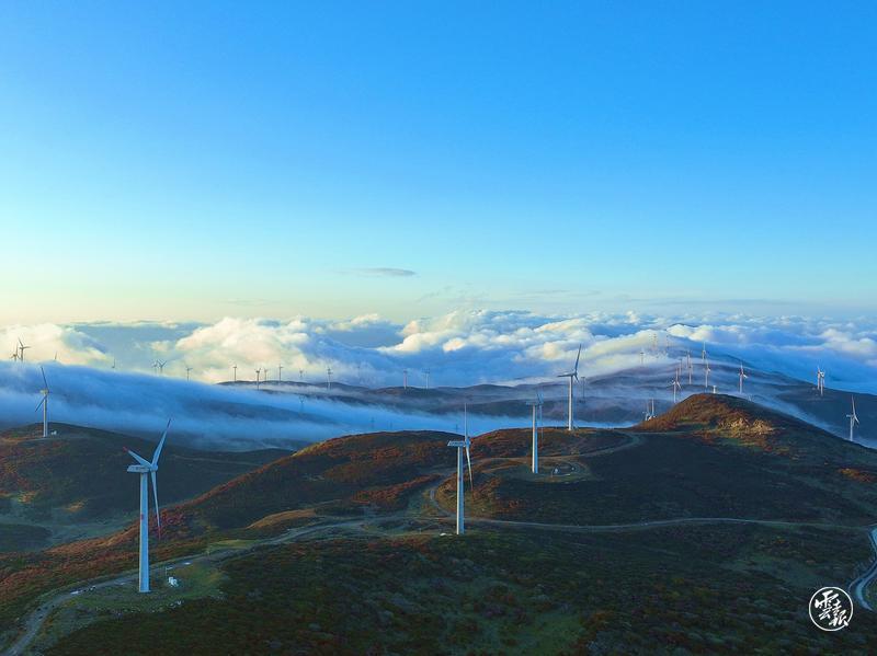 云南省文化和旅游厅