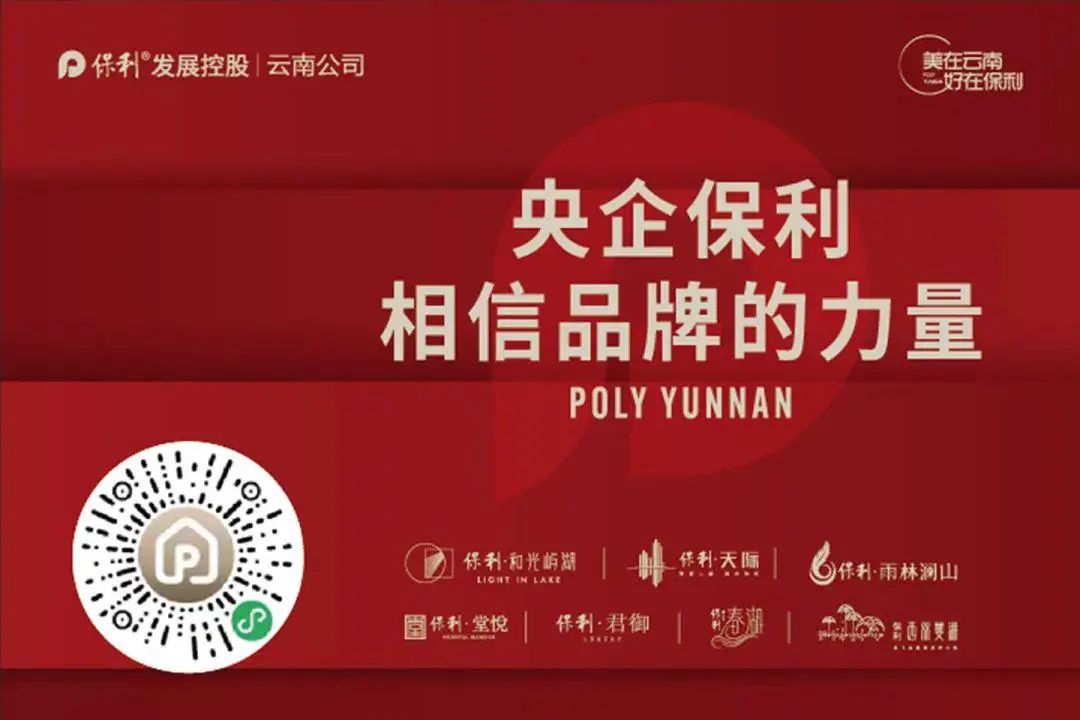云南信息报