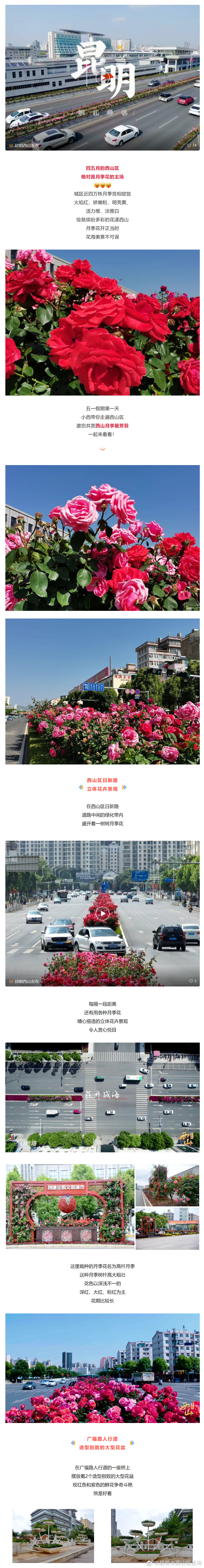 昆明市西山区发布