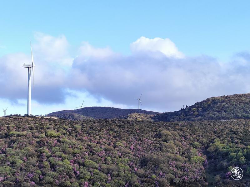 云南省文化和旅游厅