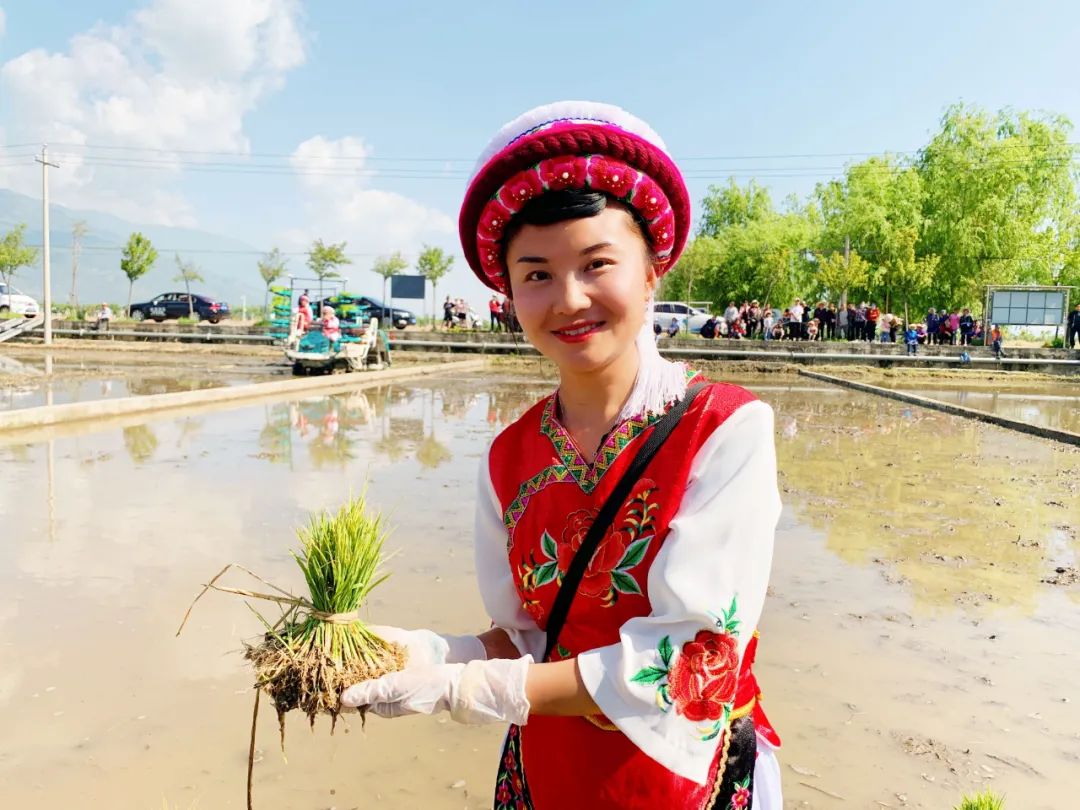 大理电视台