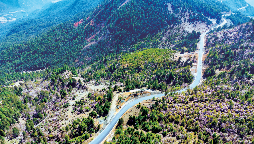 昆明信息港/cnkmxxg