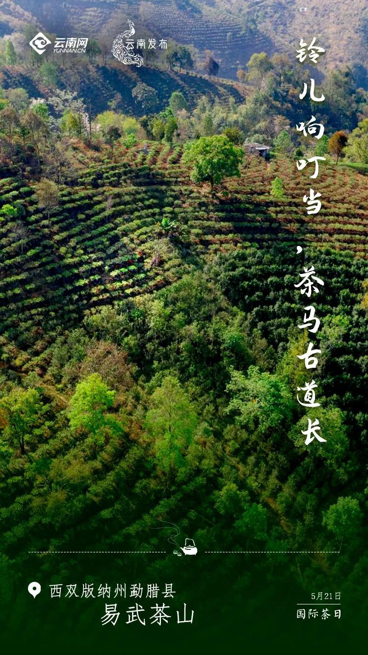 云南省文化和旅游厅