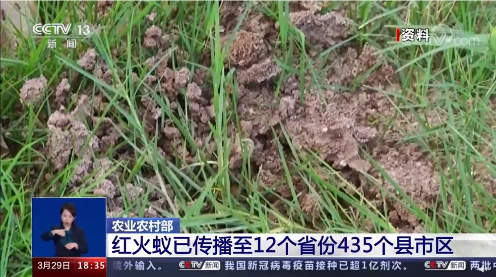 掌上春城微信公众号