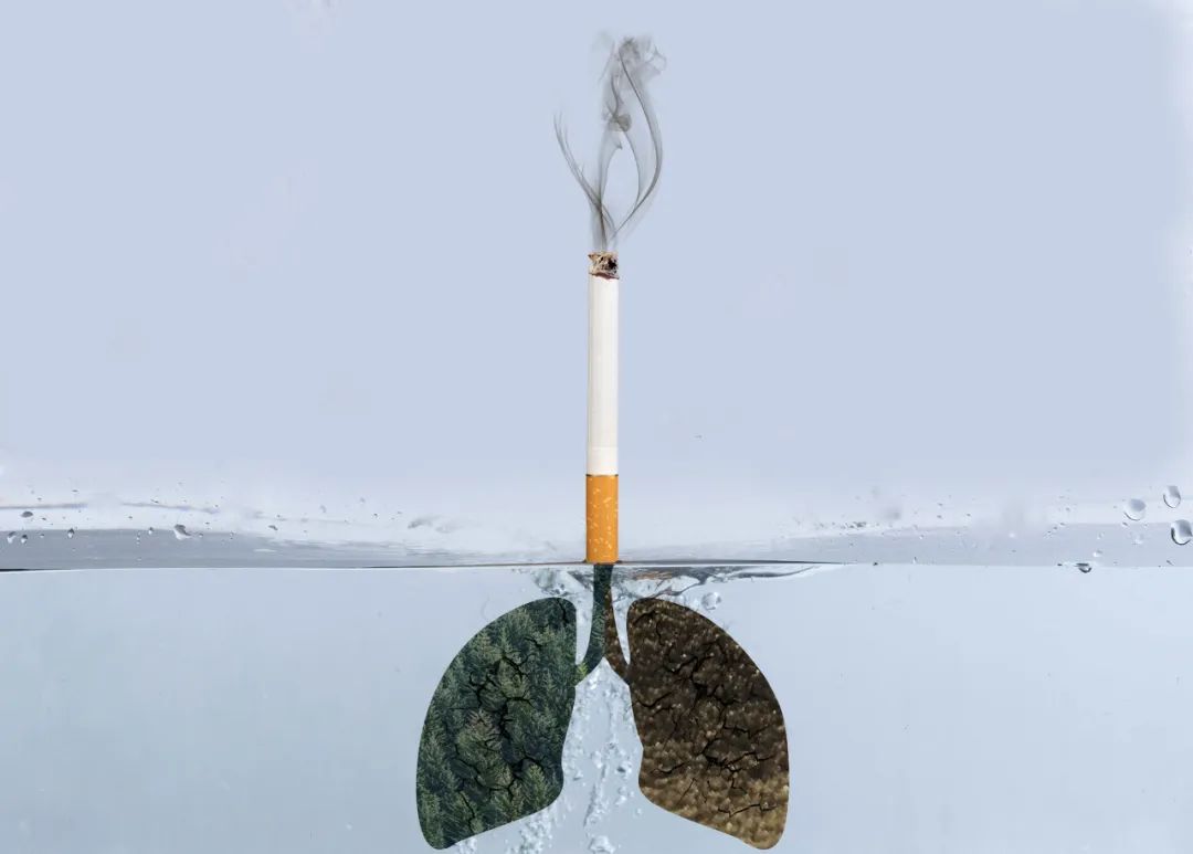 云南疾控