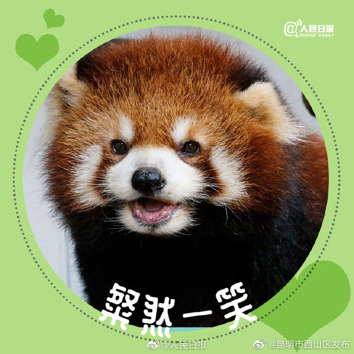 昆明市西山区发布