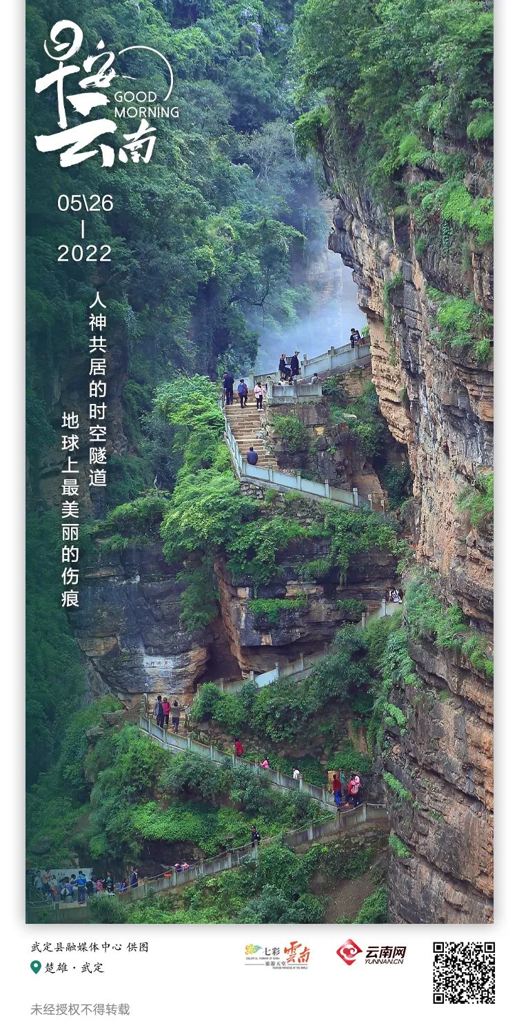 云南省人民政府网