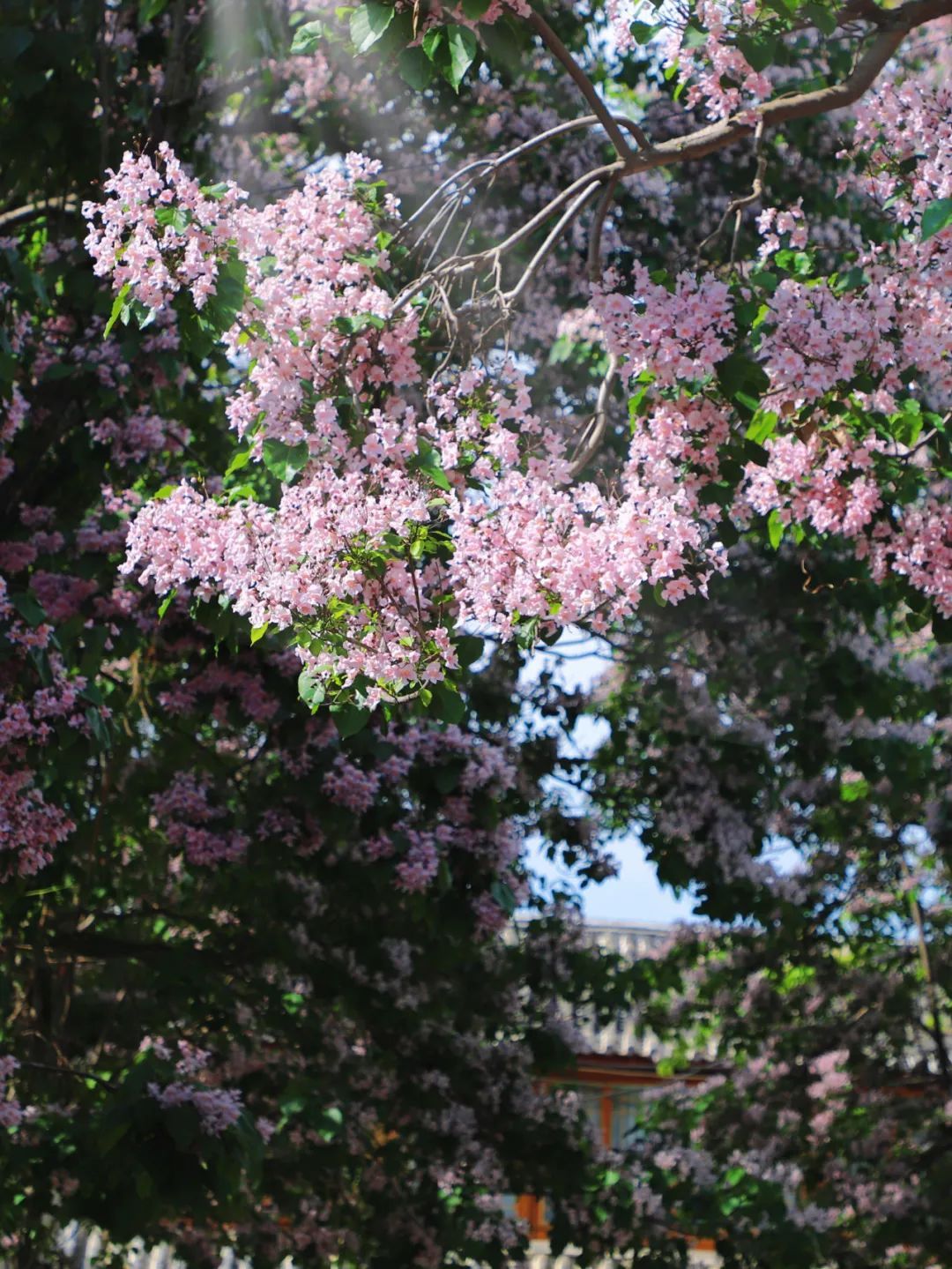 云南省文化和旅游厅