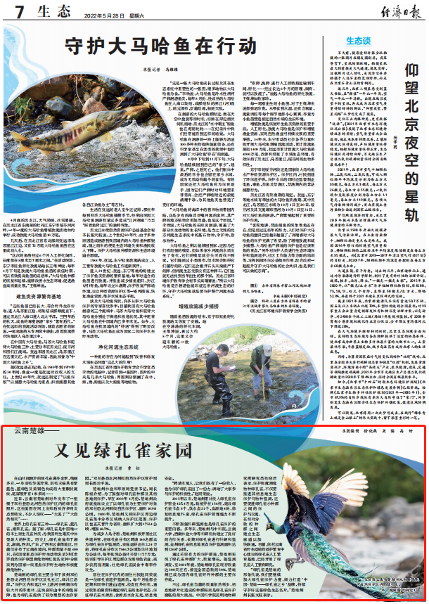 云南省文化和旅游厅