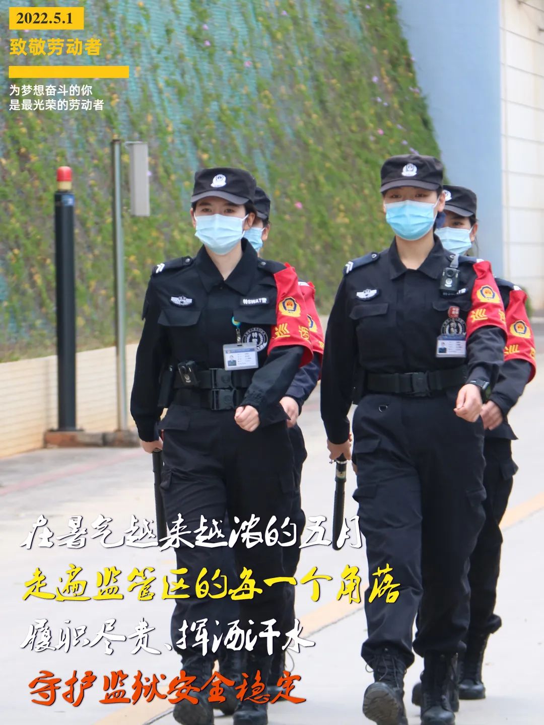 云南政法