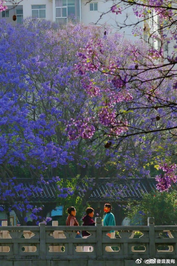 “昆明官渡发布”微博