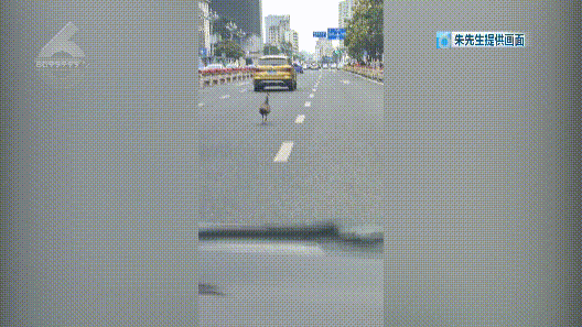春城晚报
