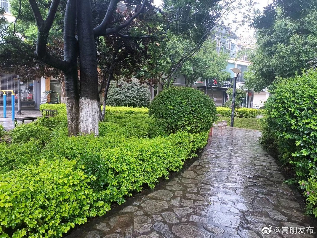 嵩明县未来24小时天气预报