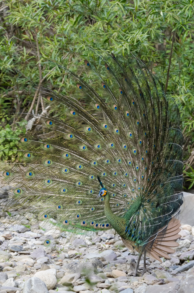 云南省文化和旅游厅