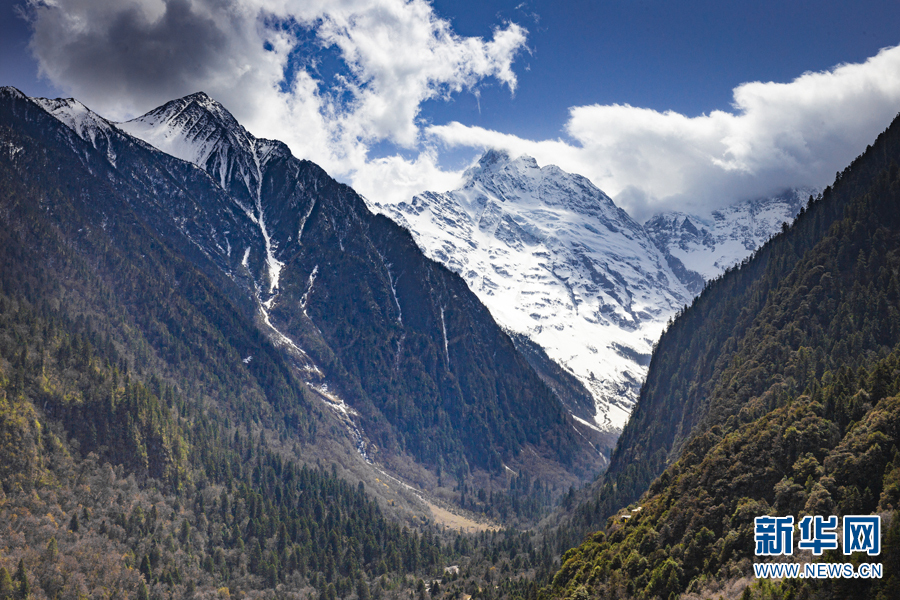 云南省文化和旅游厅