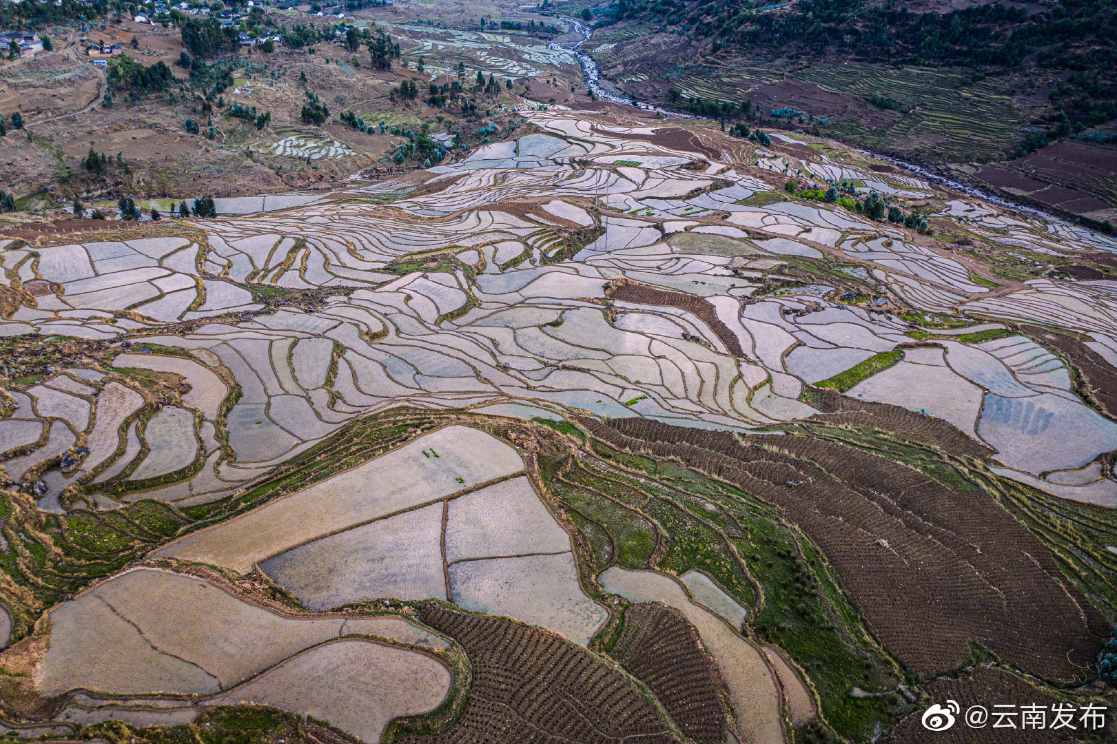 “云南发布”微博