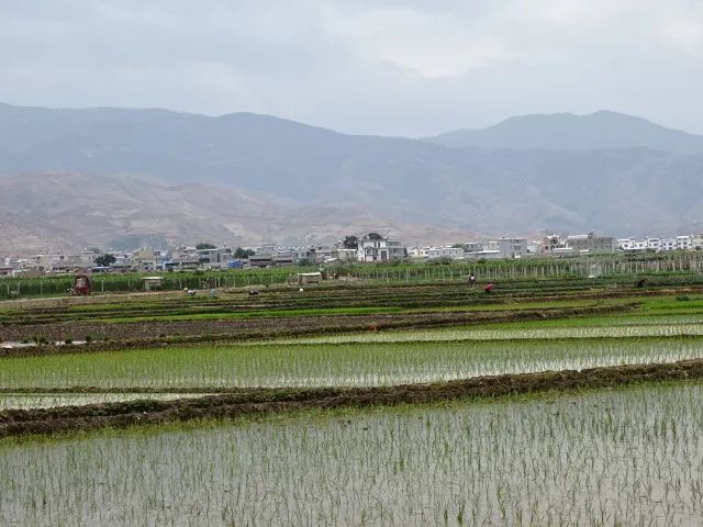 大理电视台