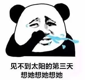 春城晚报