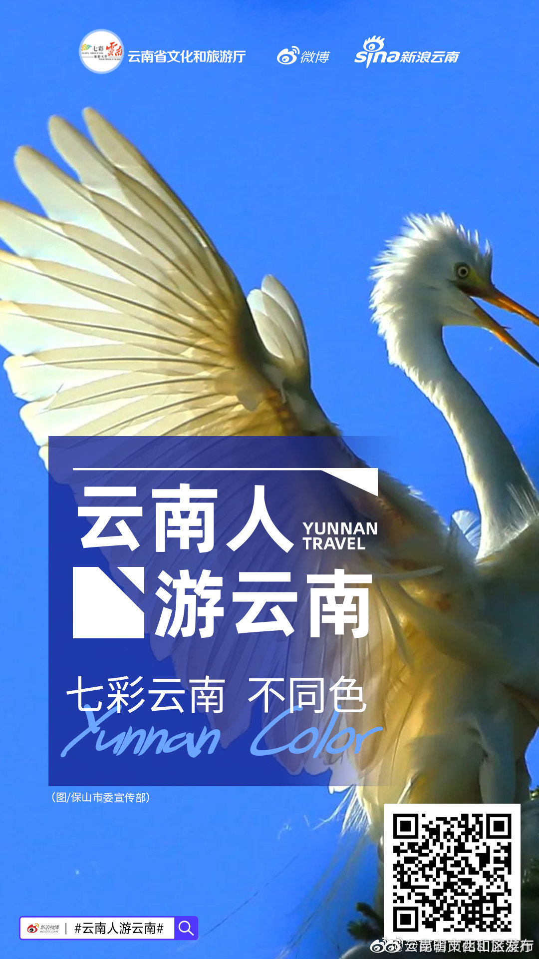 昆明市西山区发布