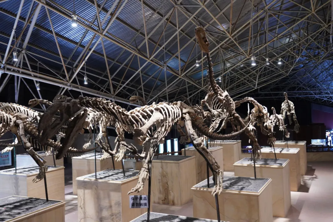 昆明信息港/cnkmxxg