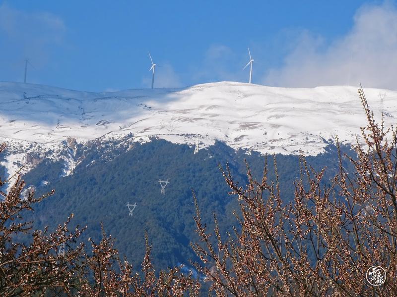 云南省文化和旅游厅