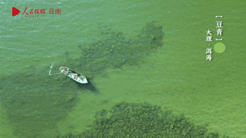 云南省文化和旅游厅