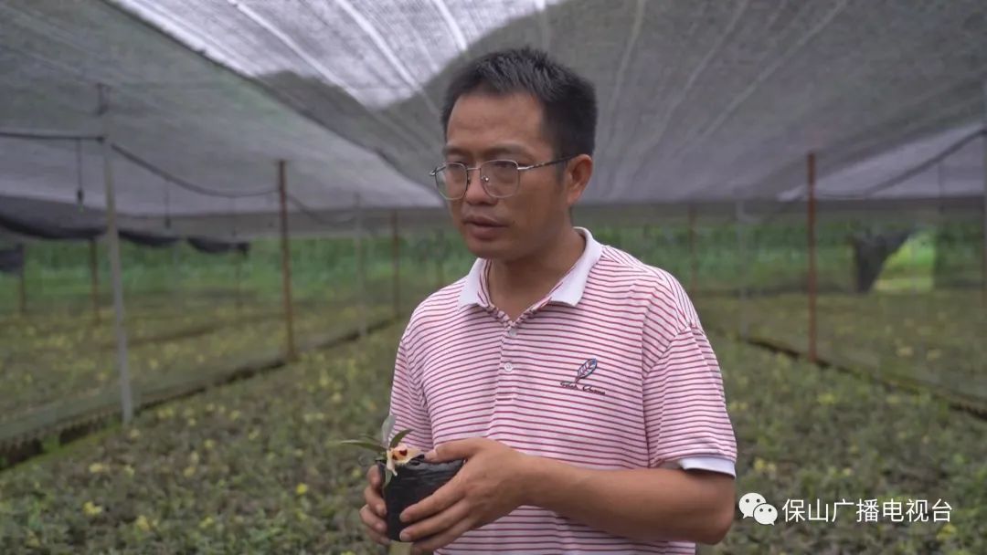 保山广播电视台