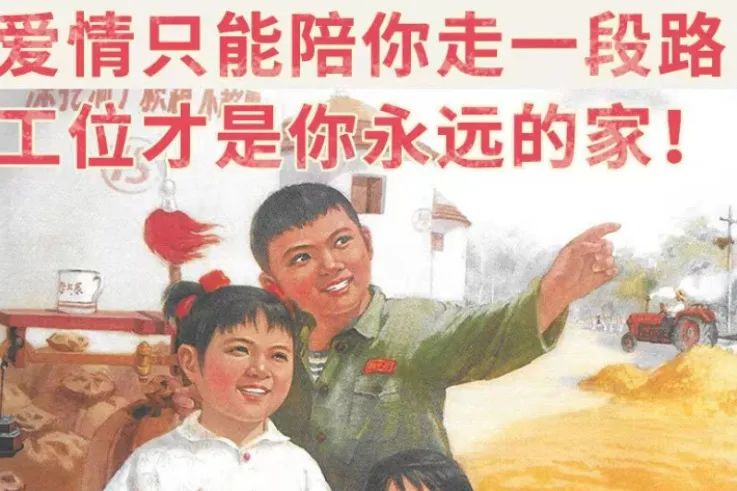 云南法制报