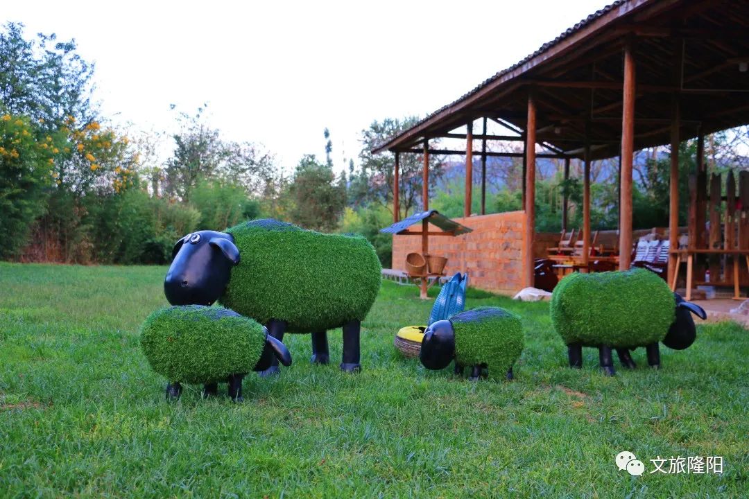 保山广播电视台