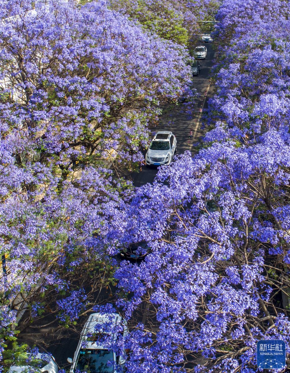 云南省文化和旅游厅