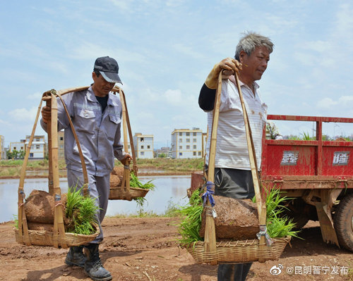 昆明晋宁发布