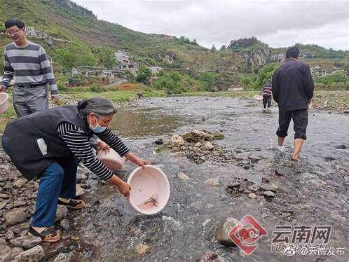 “云南发布”微博