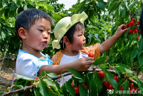 “昆明官渡发布”微博