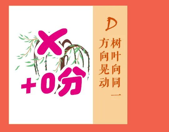 大理日报
