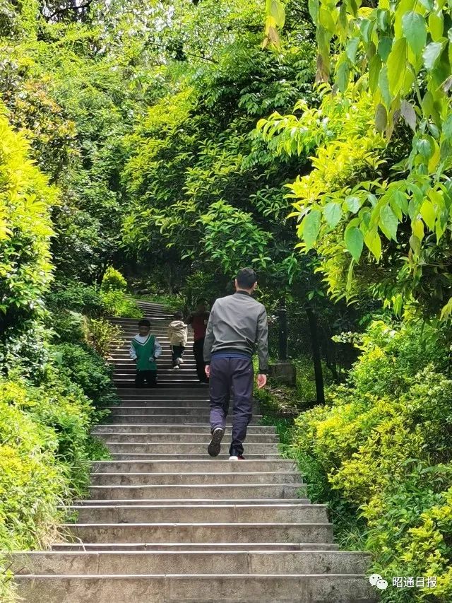 昭通日报