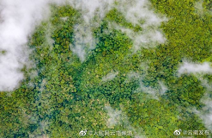 “云南发布”微博