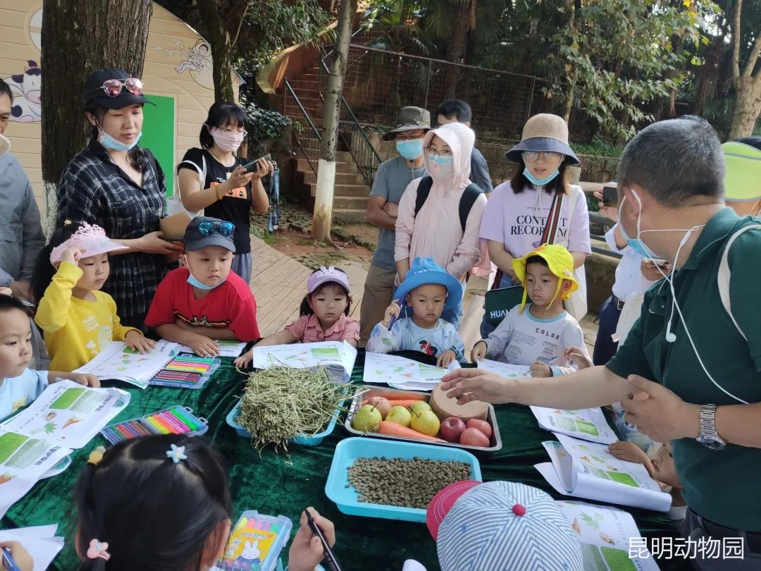 昆明动物园