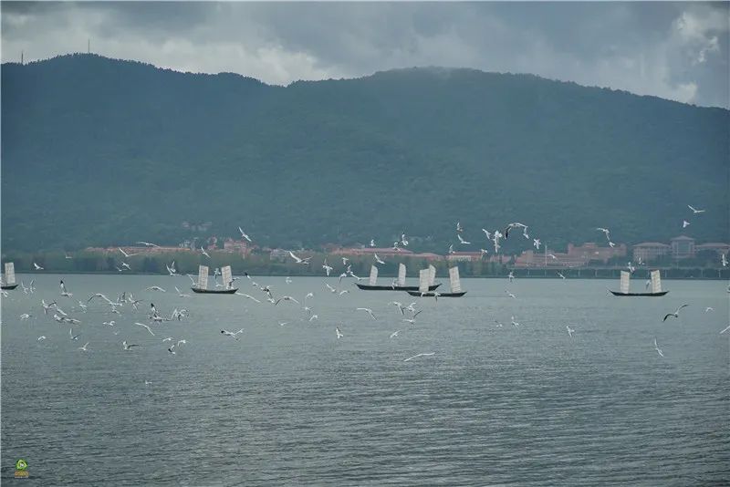 文旅云南