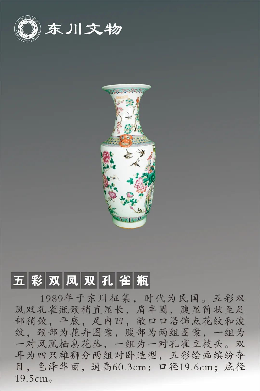 东川发布(微信)