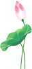 玉溪发布