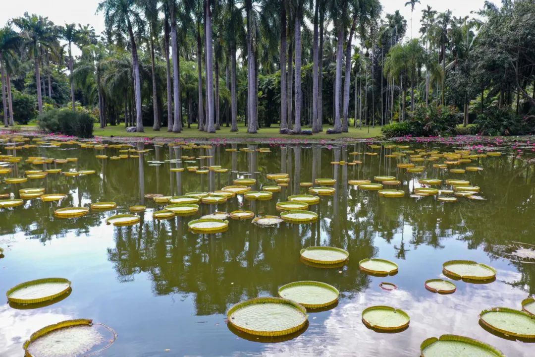 昆明信息港/cnkmxxg