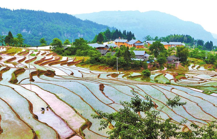 昭通绥江:美丽乡村宜居宜业宜游