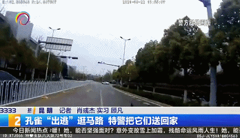 春城晚报