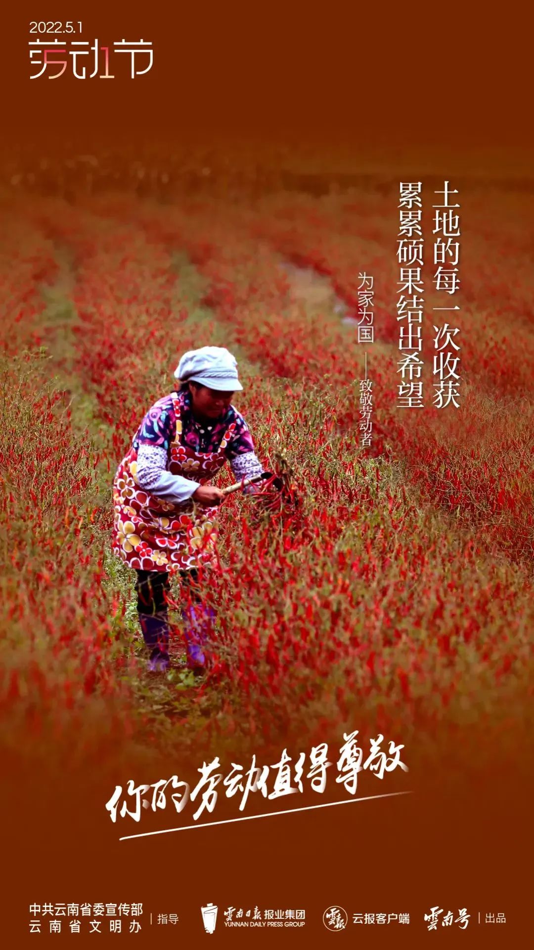 大理电视台